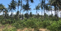 Prime 7.5 Acres For Sale in Watamu Prime 7.5 Acres For Sale in Watamu