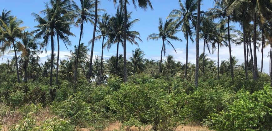Prime 7.5 Acres For Sale in Watamu Prime 7.5 Acres For Sale in Watamu