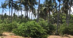 Prime 7.5 Acres For Sale in Watamu Prime 7.5 Acres For Sale in Watamu