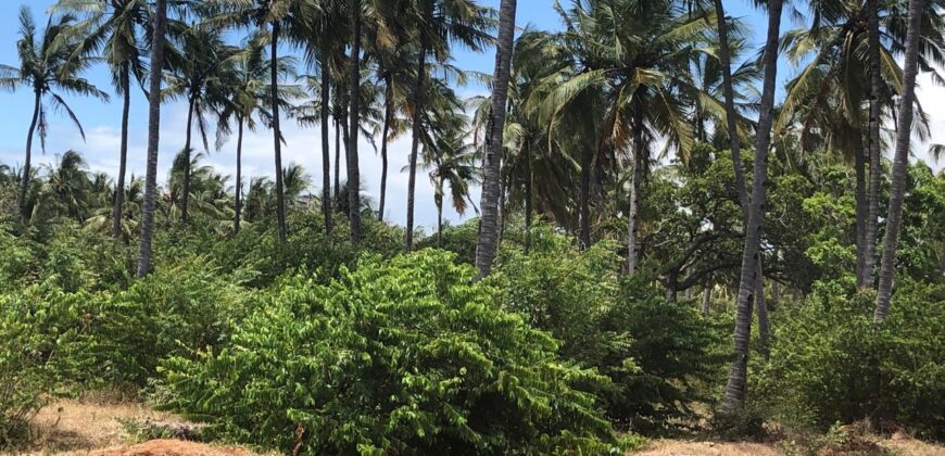 Prime 7.5 Acres For Sale in Watamu Prime 7.5 Acres For Sale in Watamu