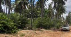 Prime 7.5 Acres For Sale in Watamu Prime 7.5 Acres For Sale in Watamu