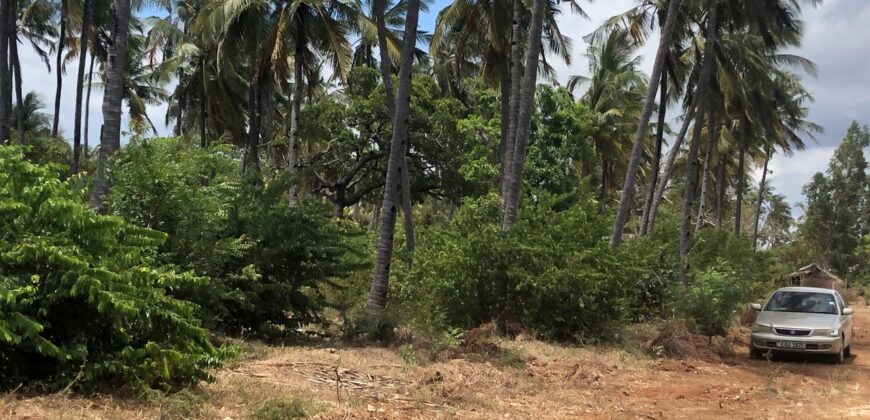 Prime 7.5 Acres For Sale in Watamu Prime 7.5 Acres For Sale in Watamu
