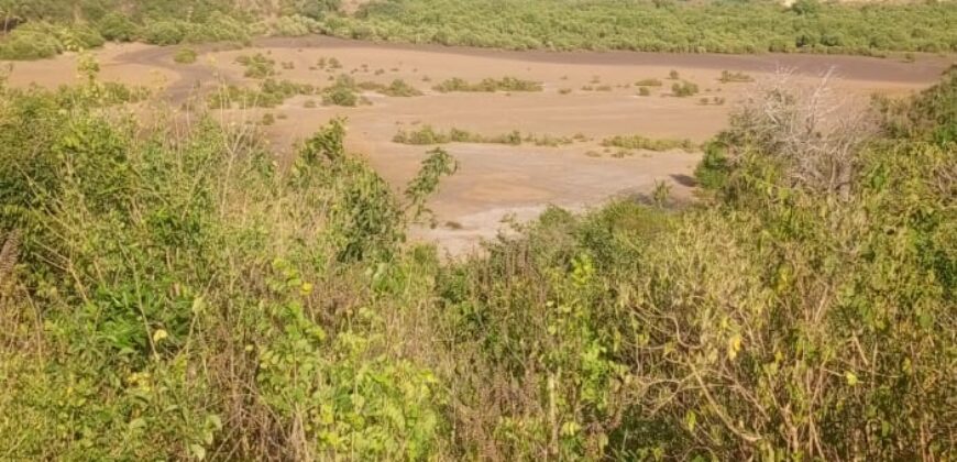 Affordable 2.5 Acres by the Ocean Creek Kilifi
