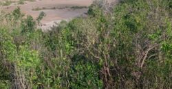 Affordable 2.5 Acres by the Ocean Creek Kilifi