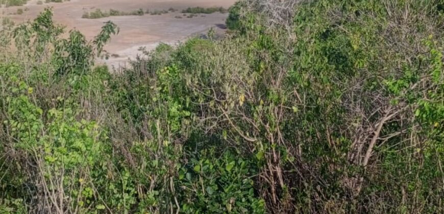 Affordable 2.5 Acres by the Ocean Creek Kilifi