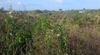 Affordable 2.5 Acres by the Ocean Creek Kilifi