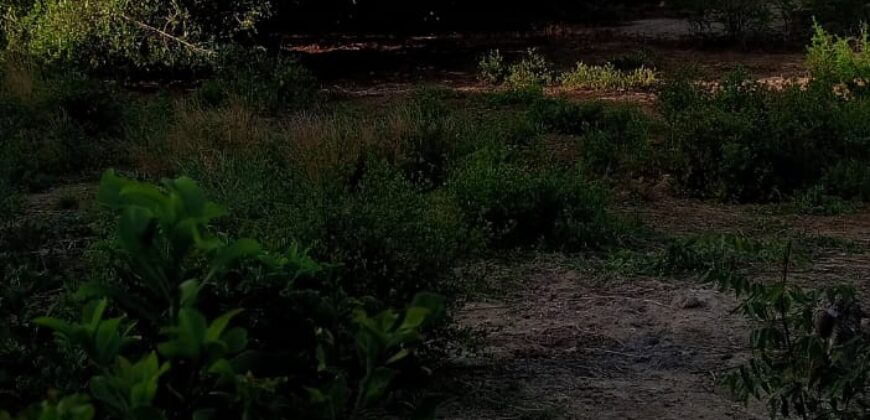 Affordable 2.5 Acres by the Ocean Creek Kilifi