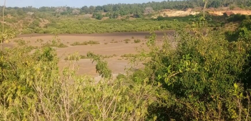 Affordable 2.5 Acres by the Ocean Creek Kilifi