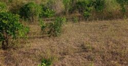 Affordable 2.5 Acres by the Ocean Creek Kilifi