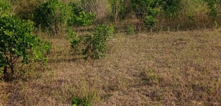 Affordable 2.5 Acres by the Ocean Creek Kilifi