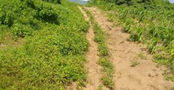 Affordable 7 Acres Beach Front Land For Sale in Kilifi