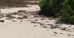 Affordable 7 Acres Beach Front Land For Sale in Kilifi