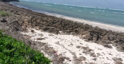 Affordable 7 Acres Beach Front Land For Sale in Kilifi