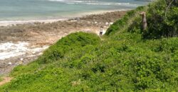 Affordable 7 Acres Beach Front Land For Sale in Kilifi