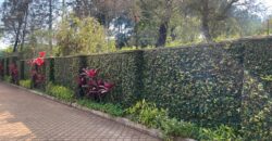 Elegant 4 Bedroom House For Rent In Runda