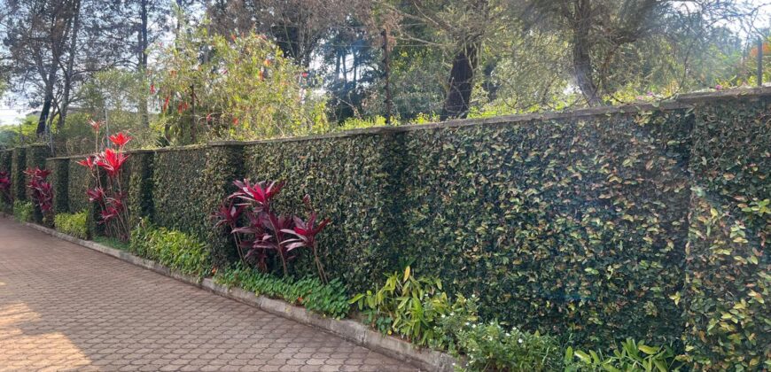 Elegant 4 Bedroom House For Rent In Runda