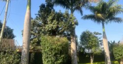 Elegant 4 Bedroom House For Rent In Runda