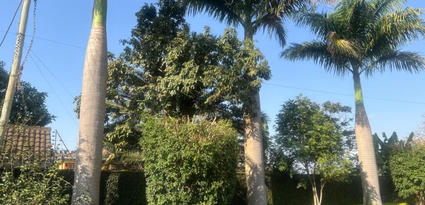 Elegant 4 Bedroom House For Rent In Runda