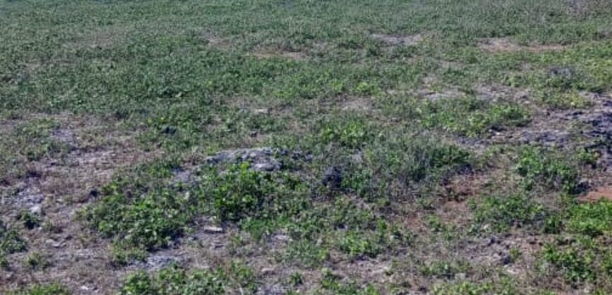 Prime Two Acres Land For Sale In Kilifi