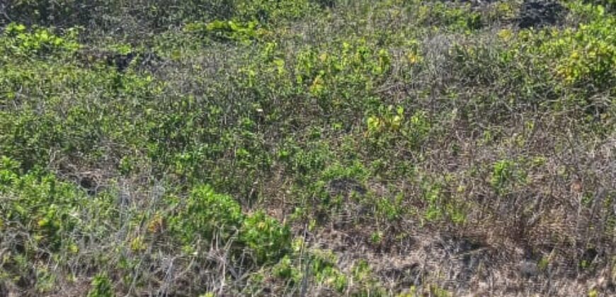 Prime Two Acres Land For Sale In Kilifi