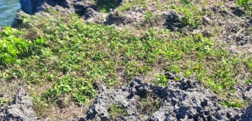 Prime Two Acres Land For Sale In Kilifi