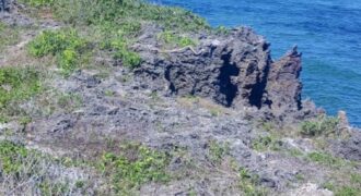 Prime Two Acres Land For Sale In Kilifi