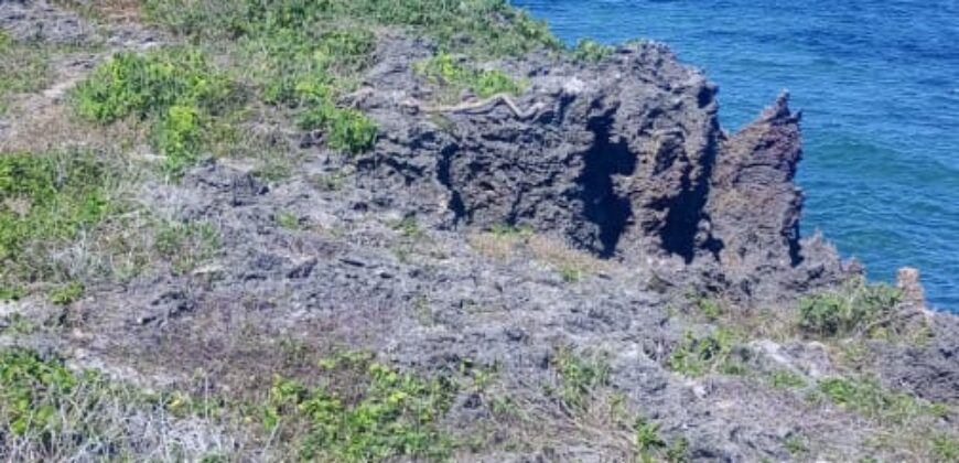 Prime Two Acres Land For Sale In Kilifi