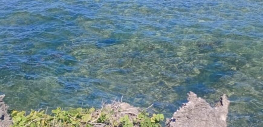 Prime Two Acres Land For Sale In Kilifi