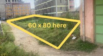 Prime Plot For Sale in Juja Town