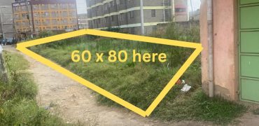 Prime Plot For Sale in Juja Town