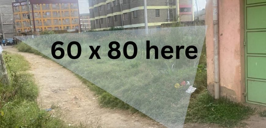 Prime Plot For Sale in Juja Town