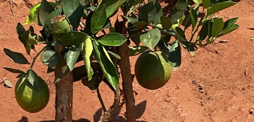 Prime 50 Acres Land In Embu