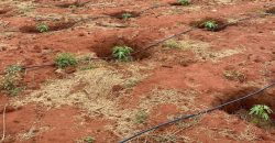 Prime 50 Acres Land In Embu