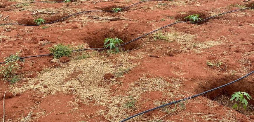 Prime 50 Acres Land In Embu