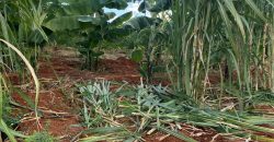 Prime 50 Acres Land In Embu