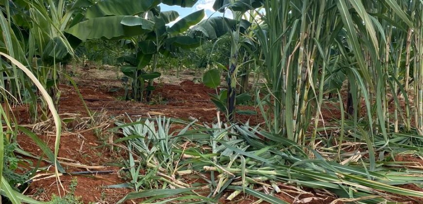 Prime 50 Acres Land In Embu