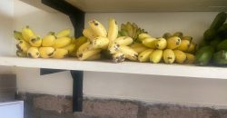 Prime 50 Acres Land In Embu