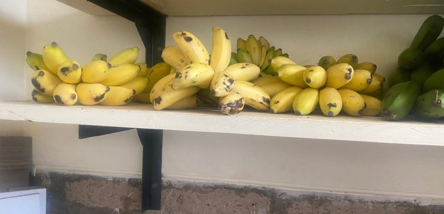 Prime 50 Acres Land In Embu