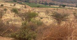 Prime 50 Acres Land In Embu