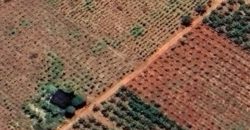 Prime 50 Acres Land In Embu