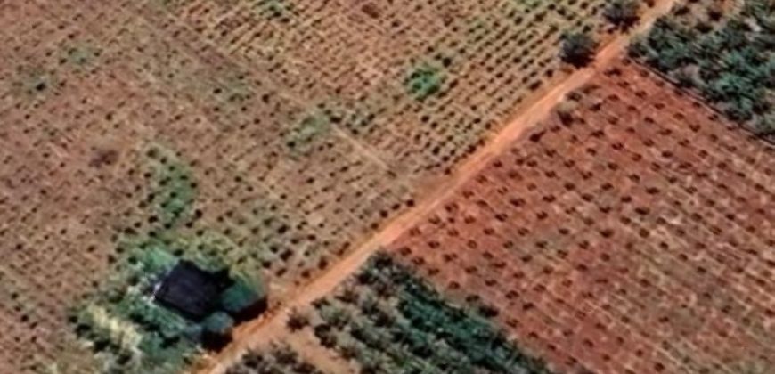 Prime 50 Acres Land In Embu