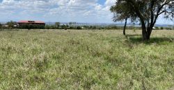 Prime 1 Acre For Sale in Arthi River