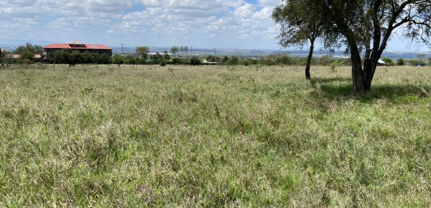 Prime 1 Acre For Sale in Arthi River