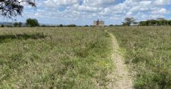 Prime 1 Acre For Sale in Arthi River