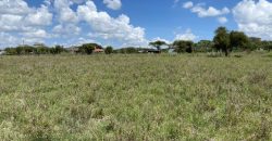 Prime 1 Acre For Sale in Arthi River