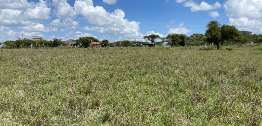 Prime 1 Acre For Sale in Arthi River