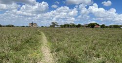 Prime 1 Acre For Sale in Arthi River