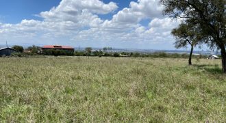 Prime 1 Acre For Sale in Arthi River