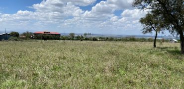 Prime 1 Acre For Sale in Arthi River