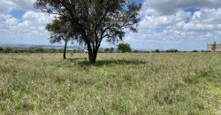 Prime 1 Acre For Sale in Arthi River